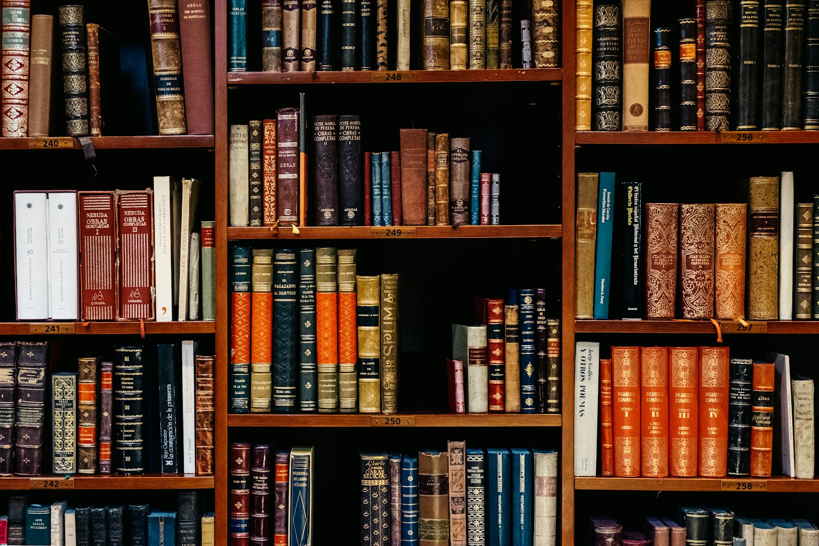 Readers enjoying physical books inside an independent bookstore